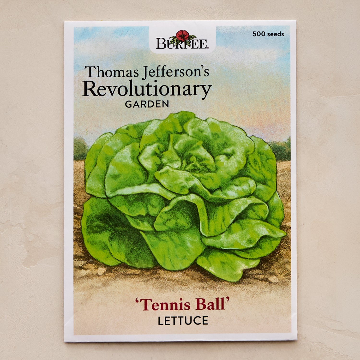 Tennis Ball Lettuce Seeds - Thomas Jefferson's Revolutionary Garden