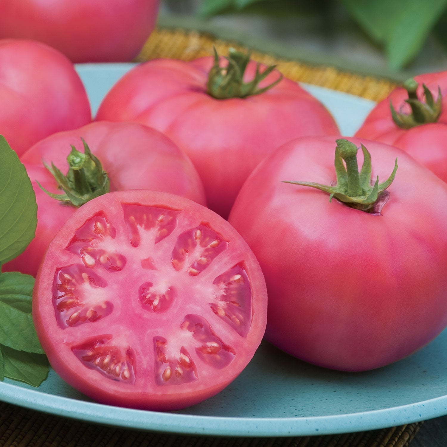 Big Pink Tomato