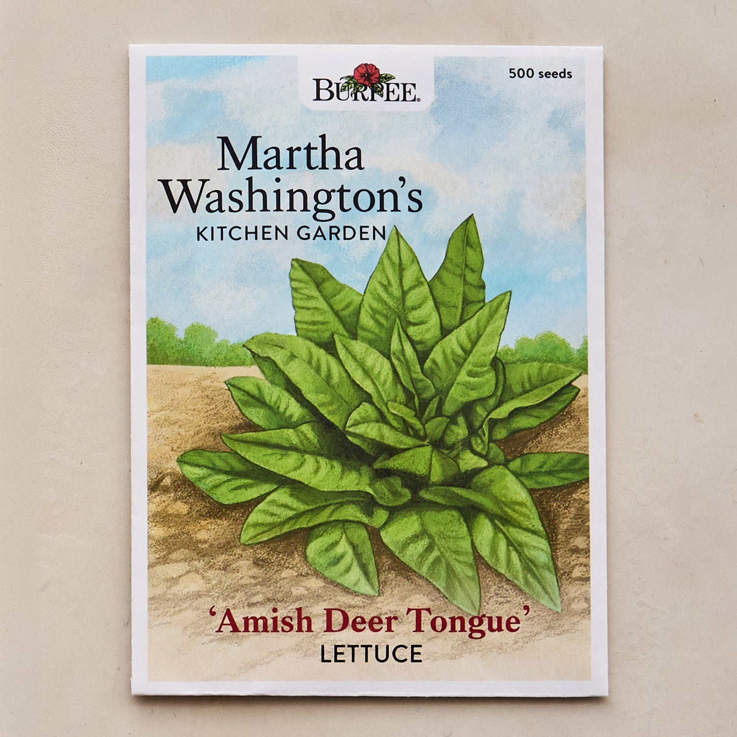 Amish Deer Tounge Lettuce Seeds - Martha Washington's Kitchen Garden