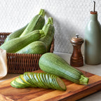 Tenderglow Summer Squash