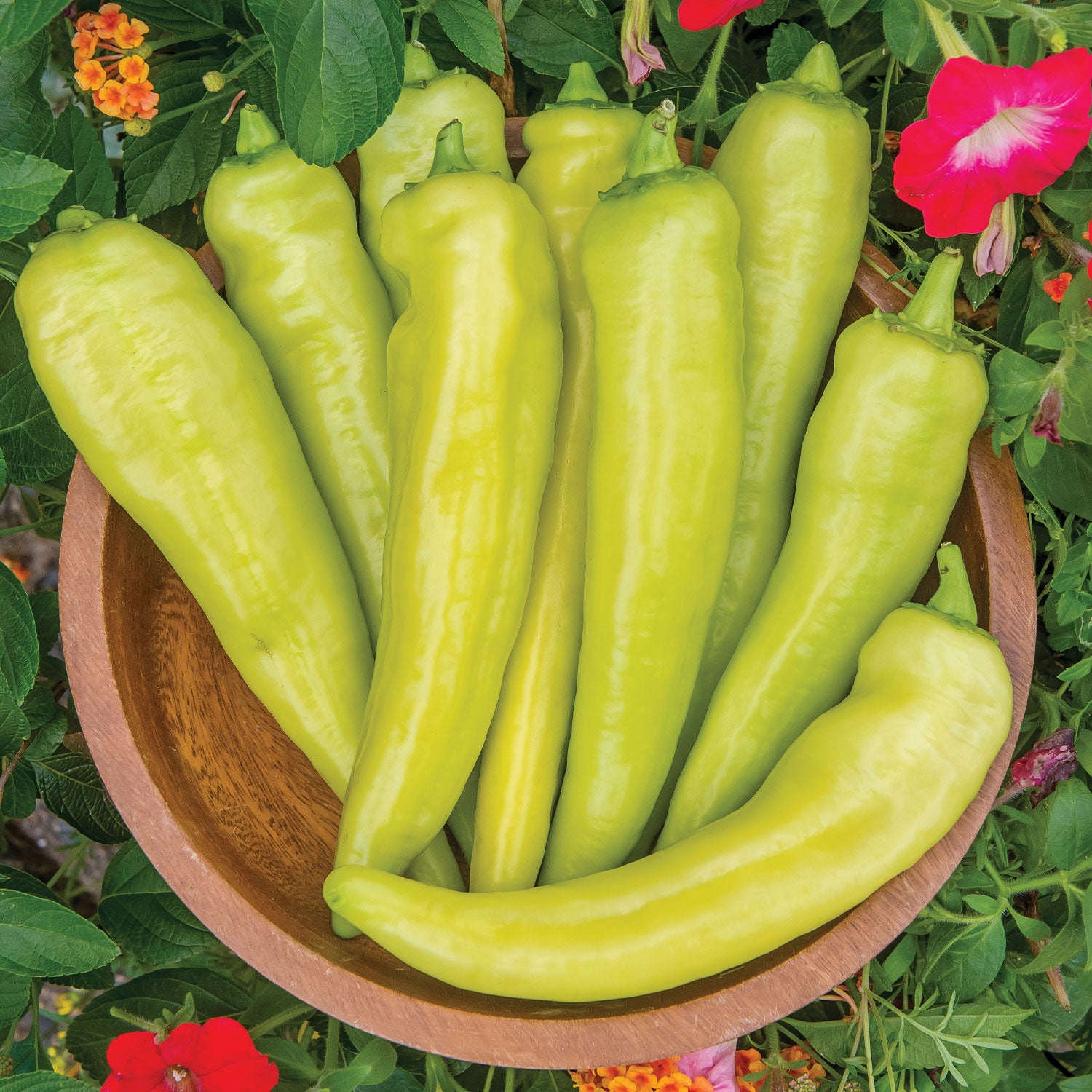 Blazing Banana Hot Pepper