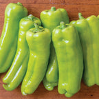Long Tall Sally Sweet Pepper