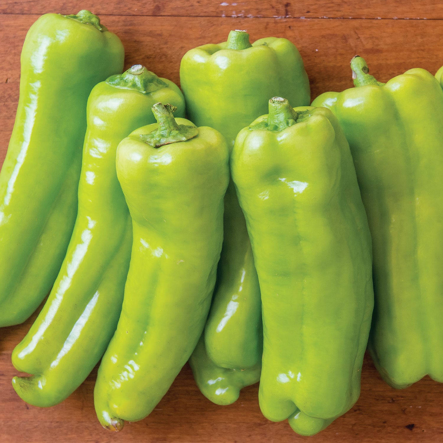 Long Tall Sally Sweet Pepper