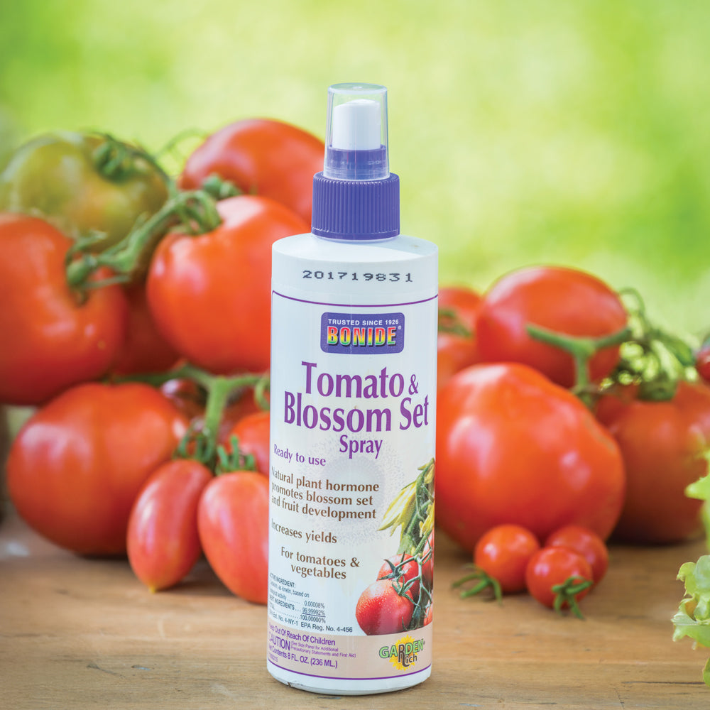 Tomato & Vegetable Blossom Set Spray