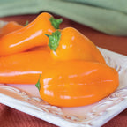 Yummy Sweet Pepper