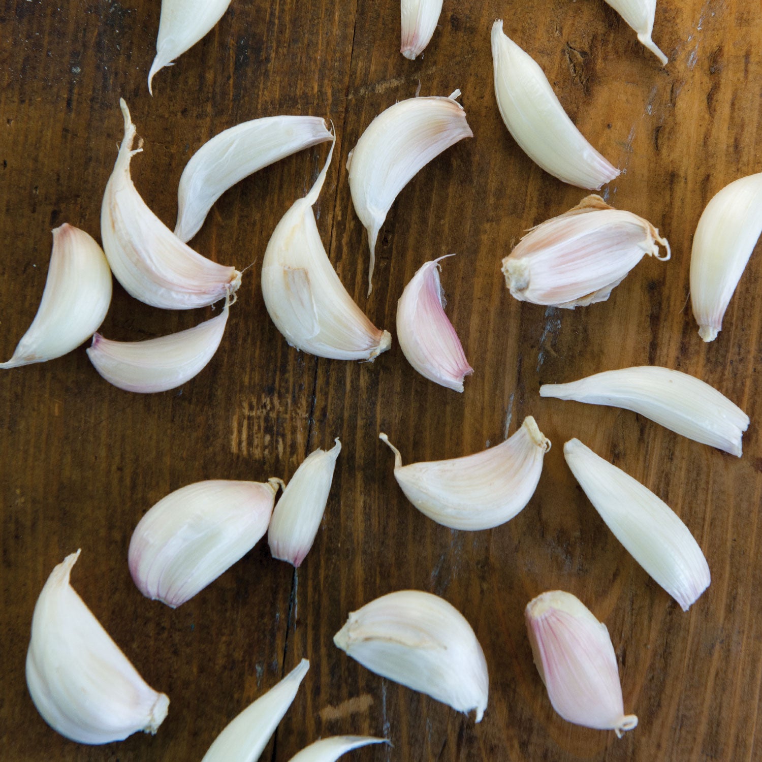 Italian Late Garlic Bulbs
