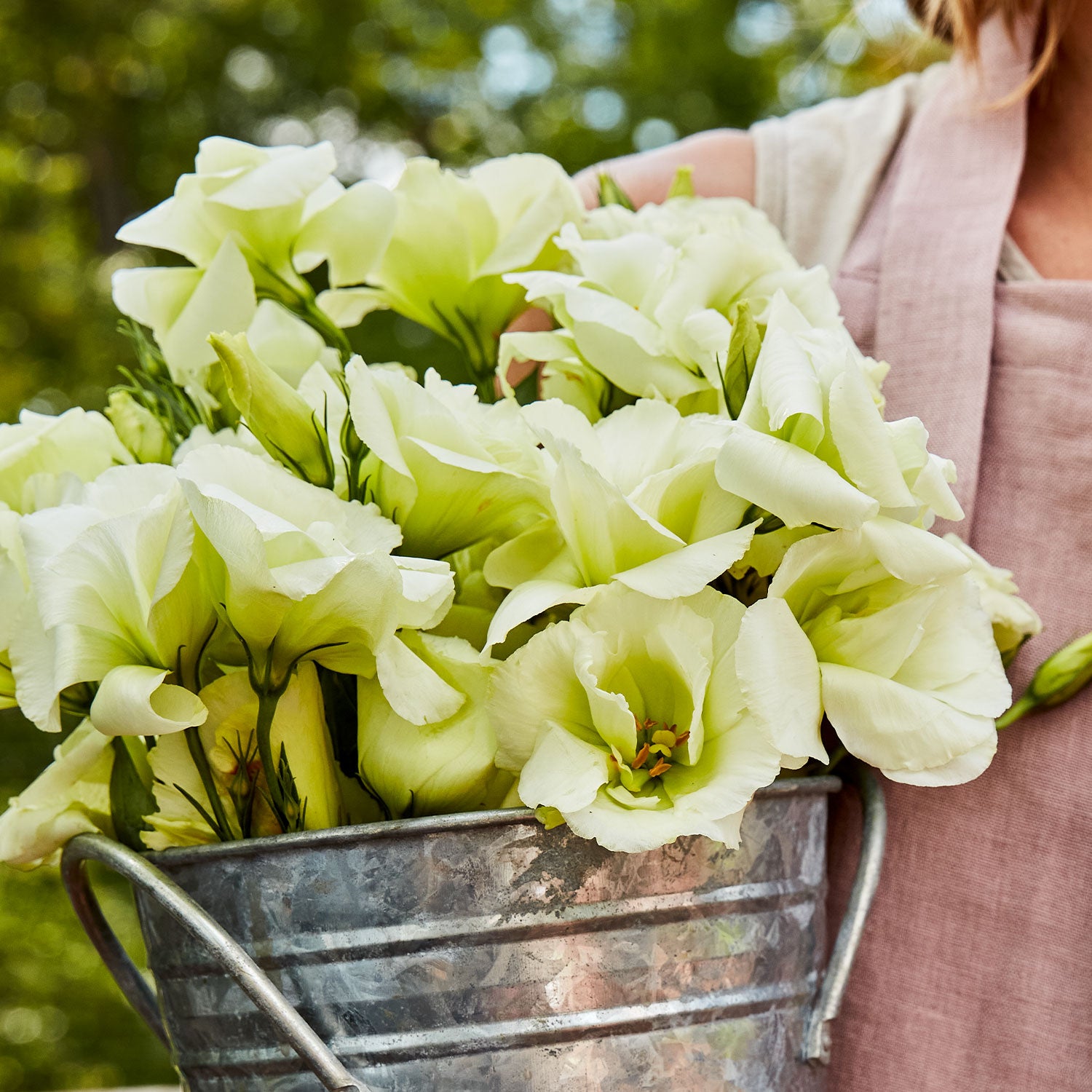 Green Lisianthus