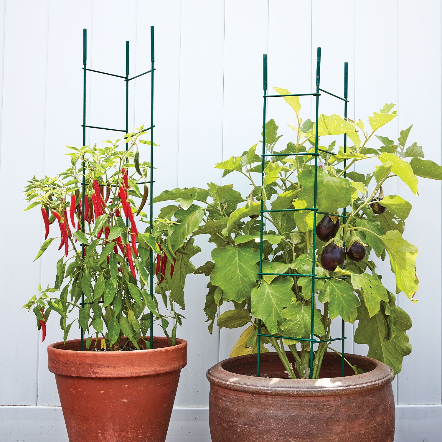 Pro Series Folding Plant Supports