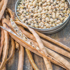 California Blackeye No.5 Cowpea