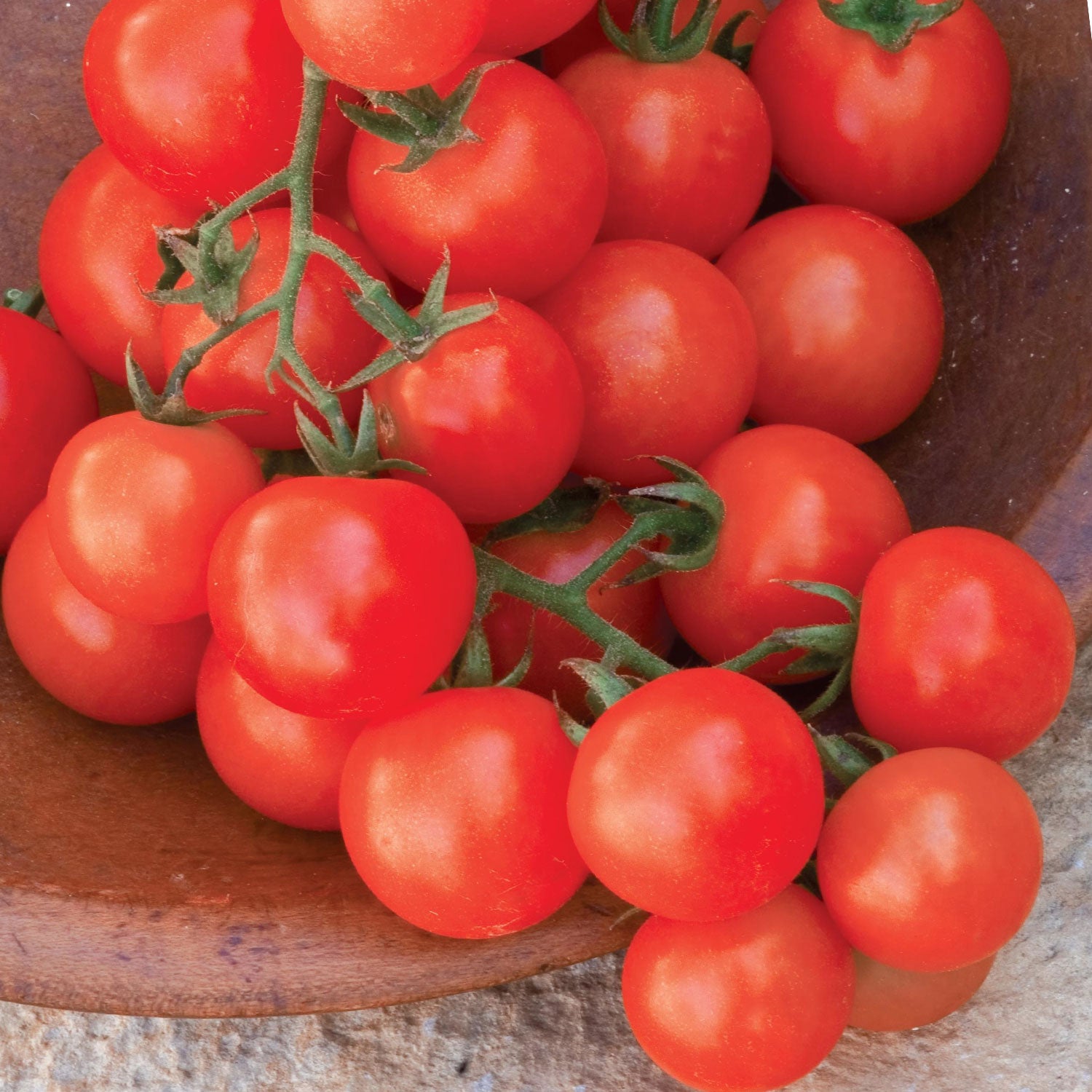 Sweetie Organic Tomato