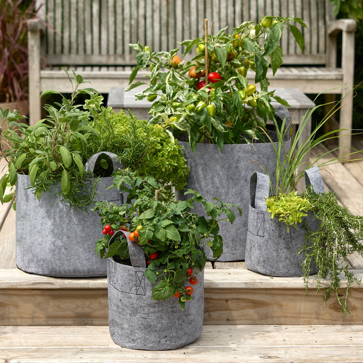 Burpee Root Pouch - Gray