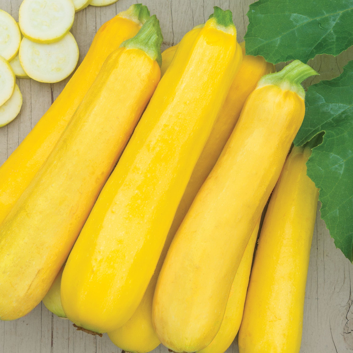 Butterstick Summer Squash