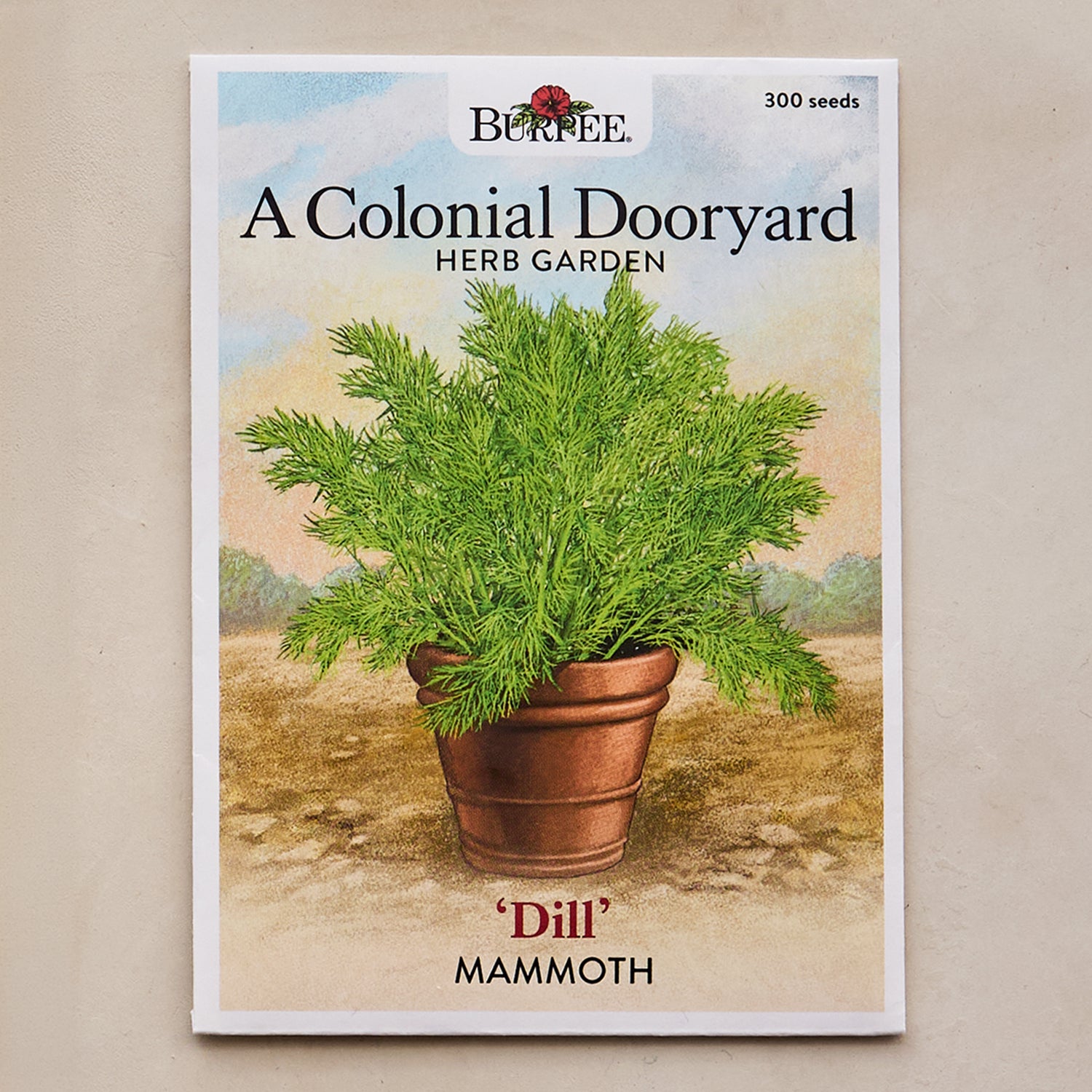 Mammoth Dill Seeds - A Colonial Dooryard Herb Garden