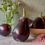 Bonanza Eggplant