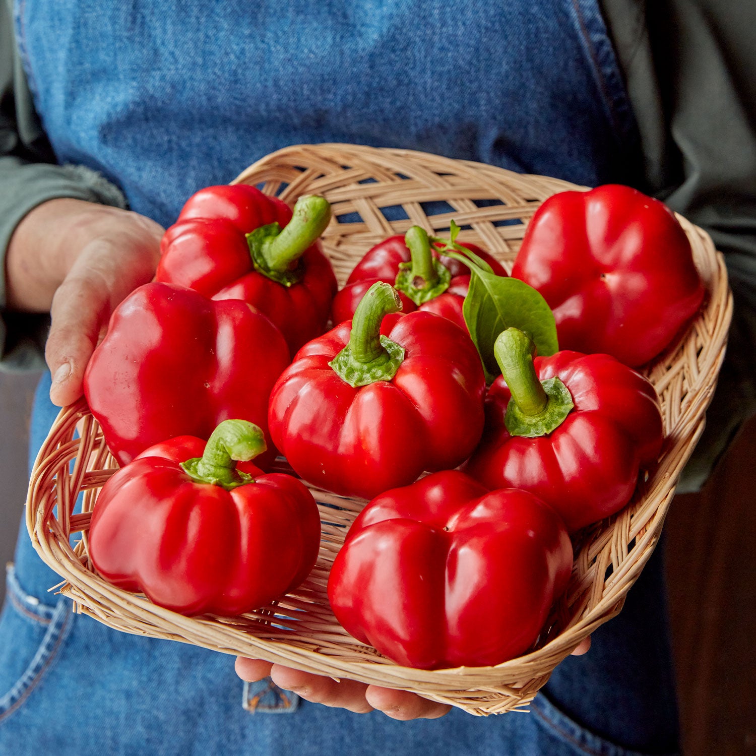 Sweet Stuff Sweet Pepper