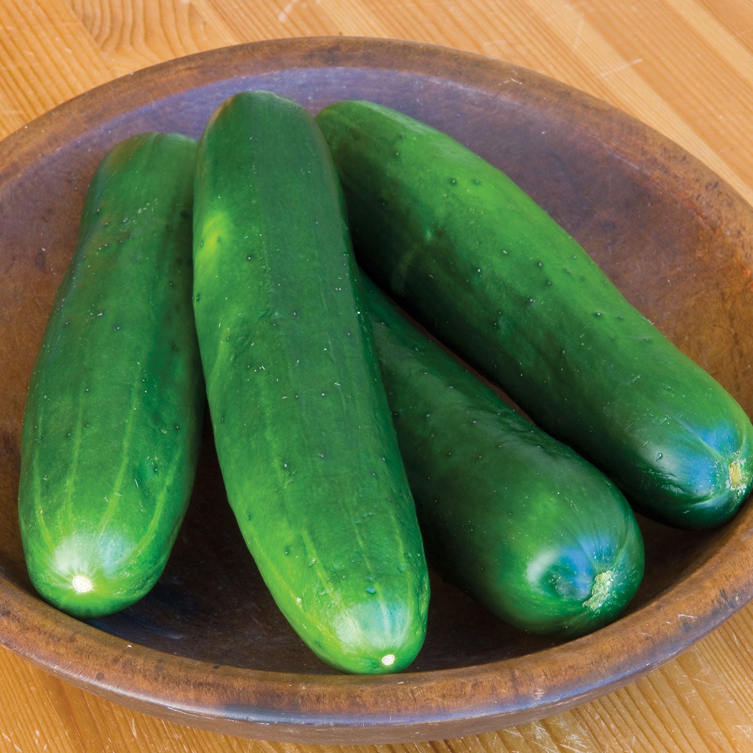 Burpless Beauty Cucumber