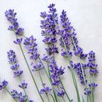 SuperBlue PPAF Lavender