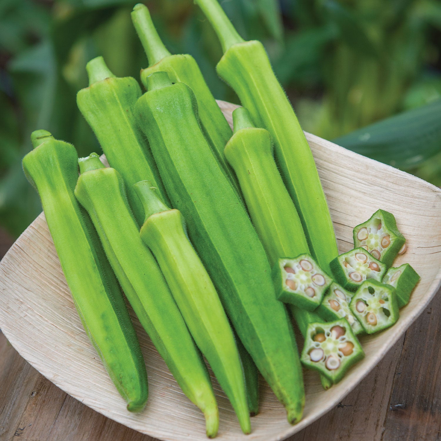 Baby Bubba Okra