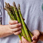 Millennium Asparagus Bare Root