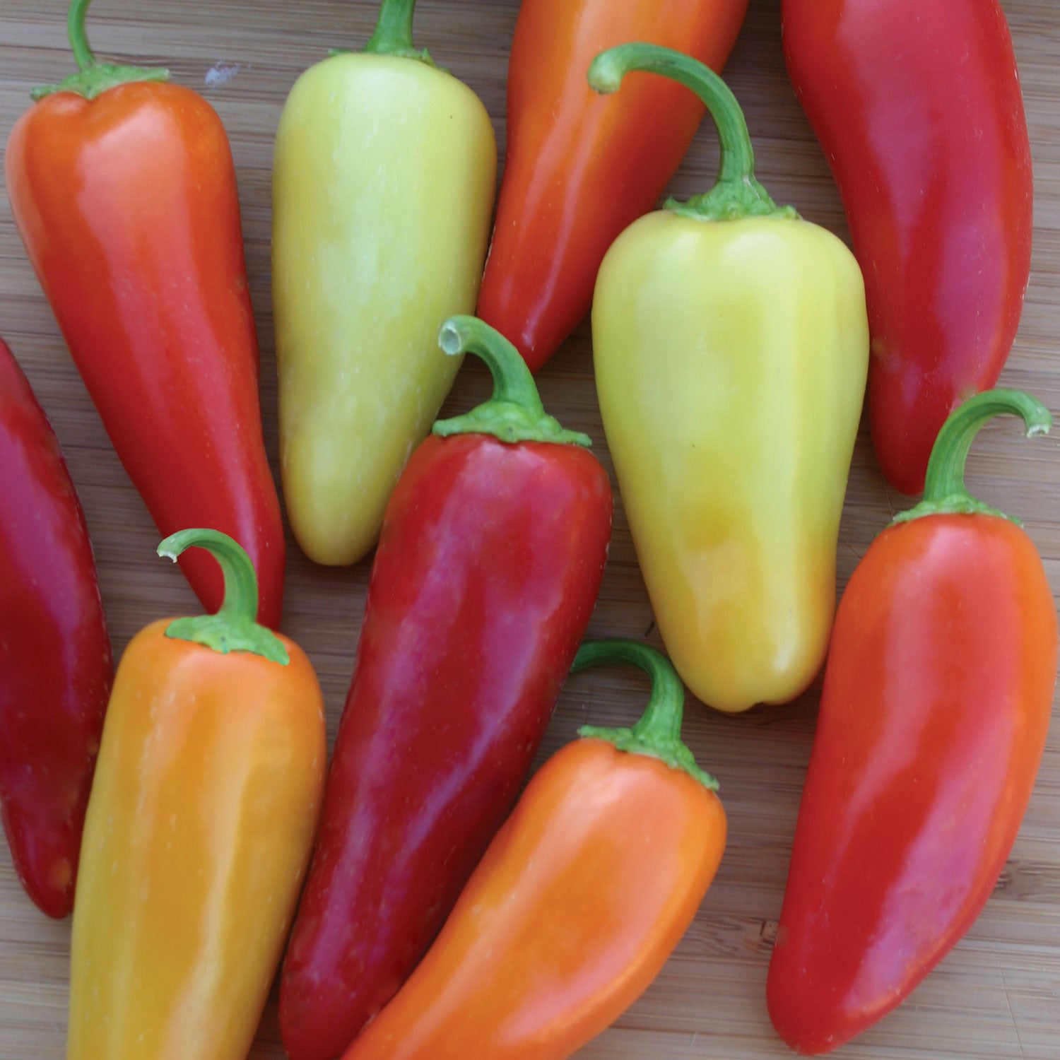 Santa Fe Grande Hot Pepper