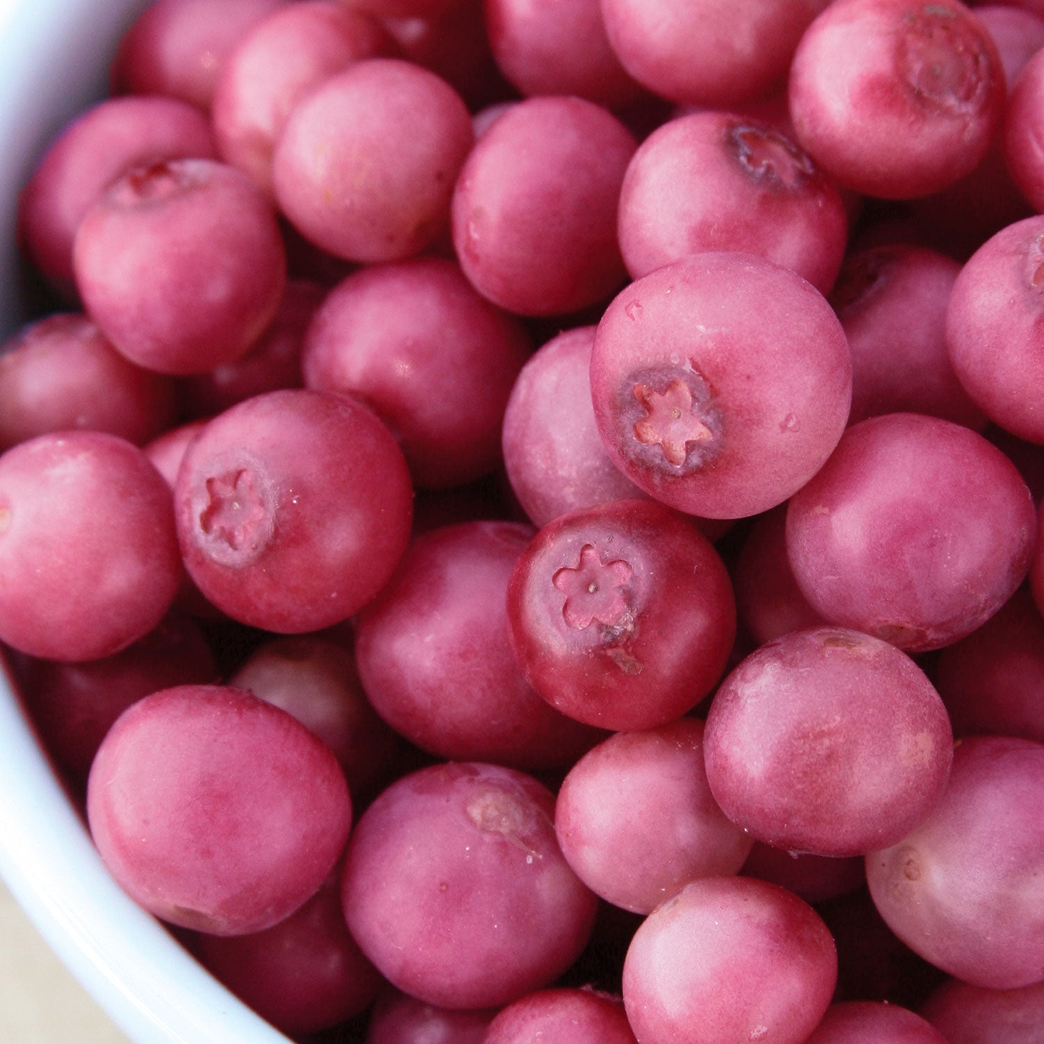 Pink Lemonade Blueberry