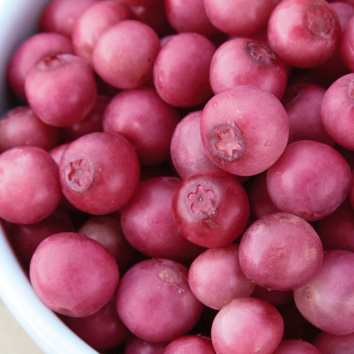 Pink Lemonade Blueberry