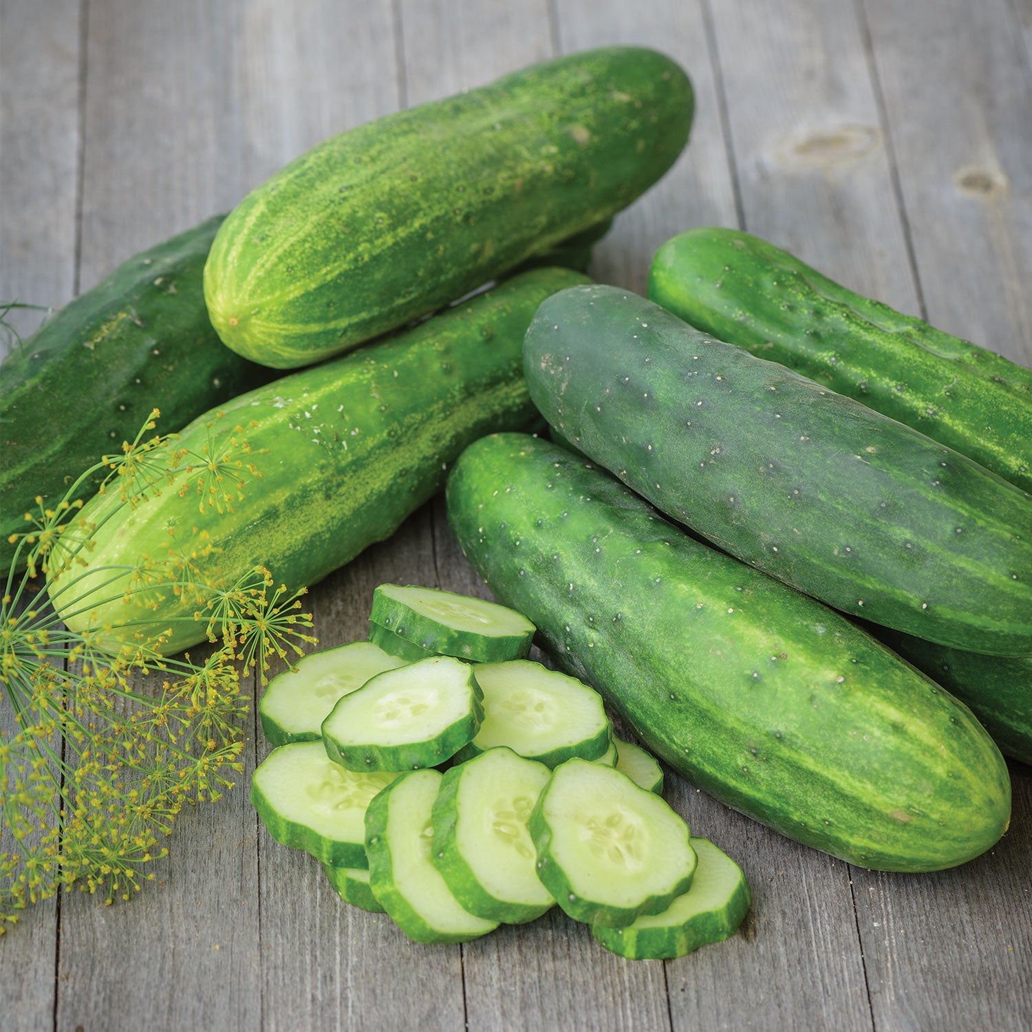 Straight Eight Cucumber