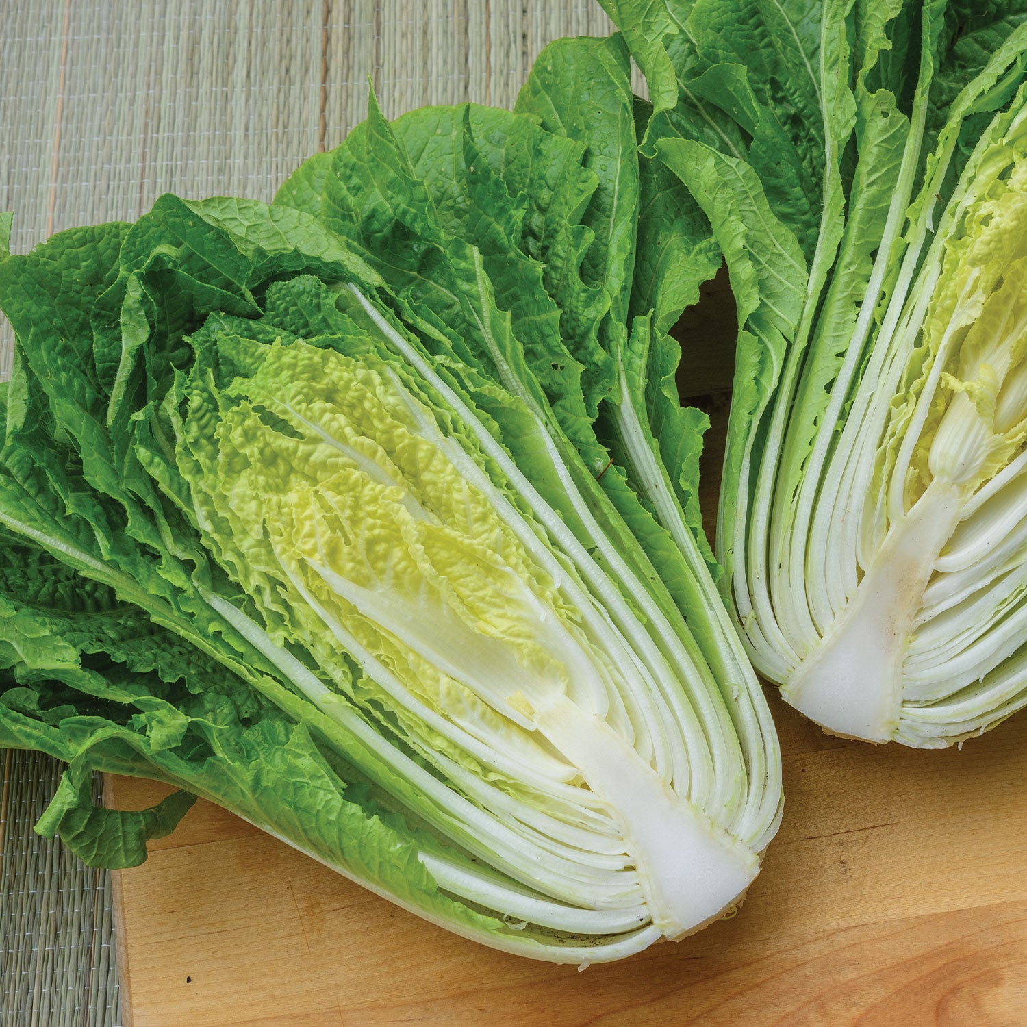 Barrel Head Napa Cabbage