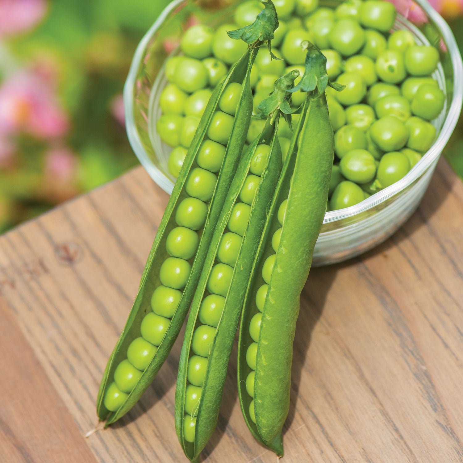 First 13 Pea