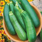 Sure Thing Summer Squash