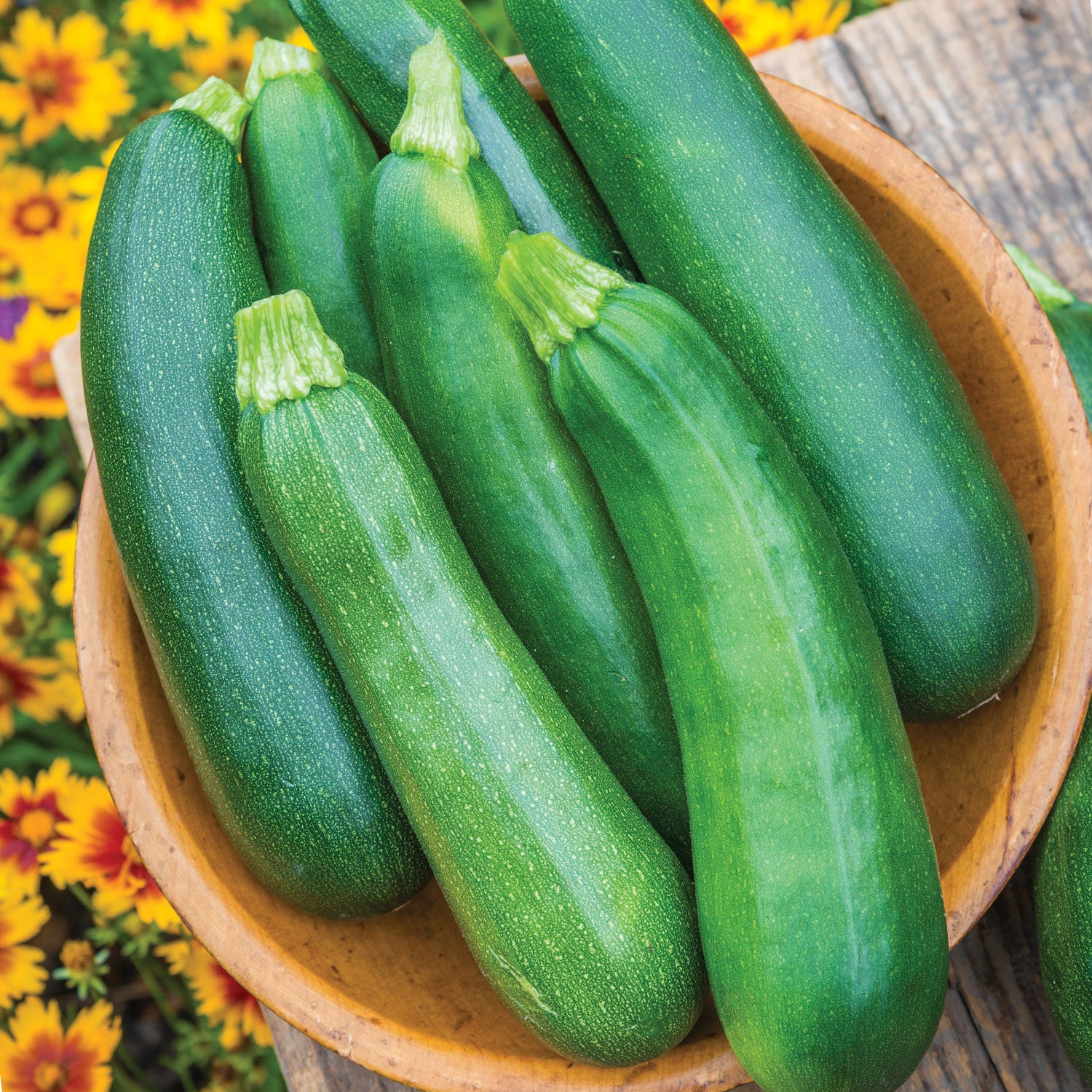 Sure Thing Summer Squash