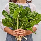 Fordhook® Giant Swiss Chard