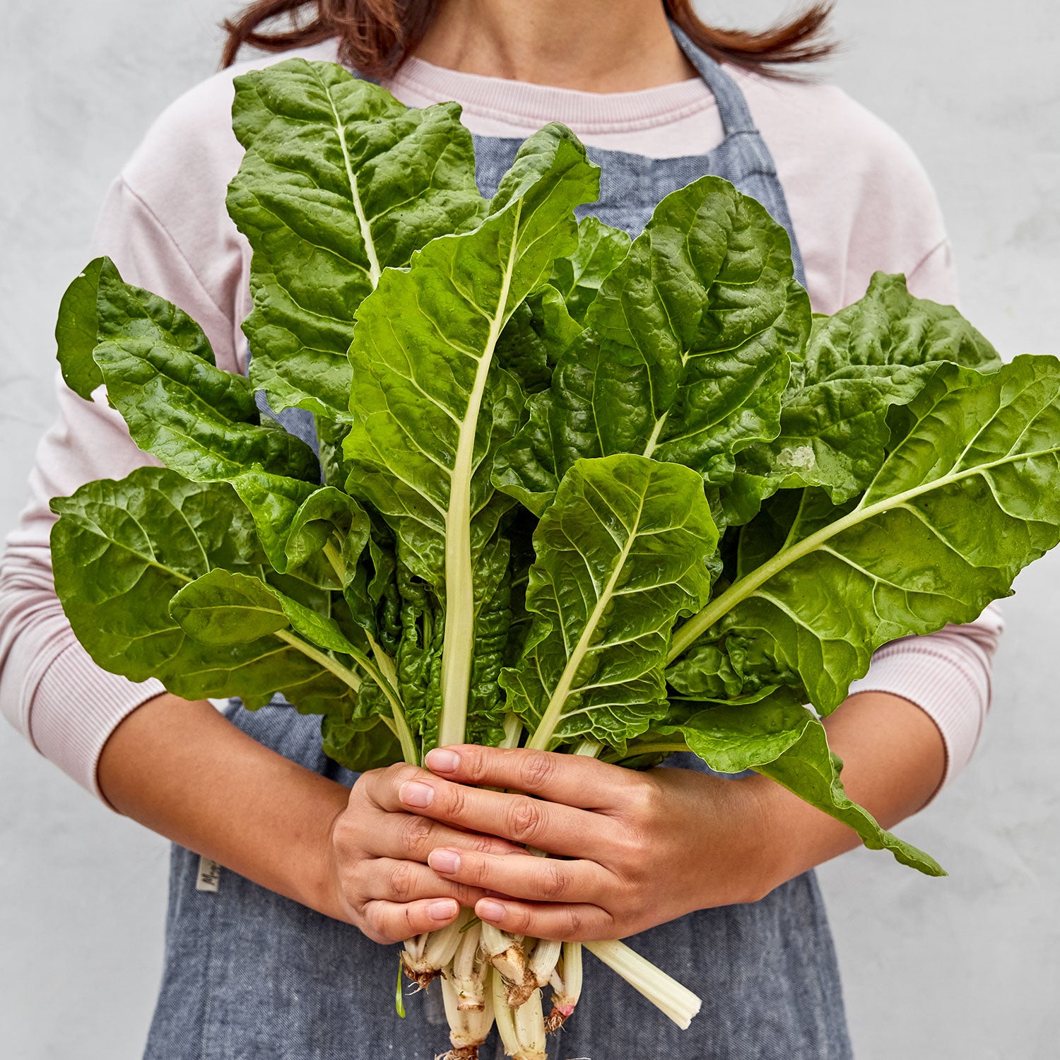 Fordhook® Giant Swiss Chard