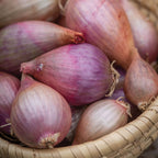 Davidor Shallots