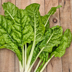 Fordhook® Giant Swiss Chard