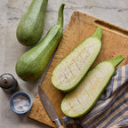 Tenderglow Summer Squash
