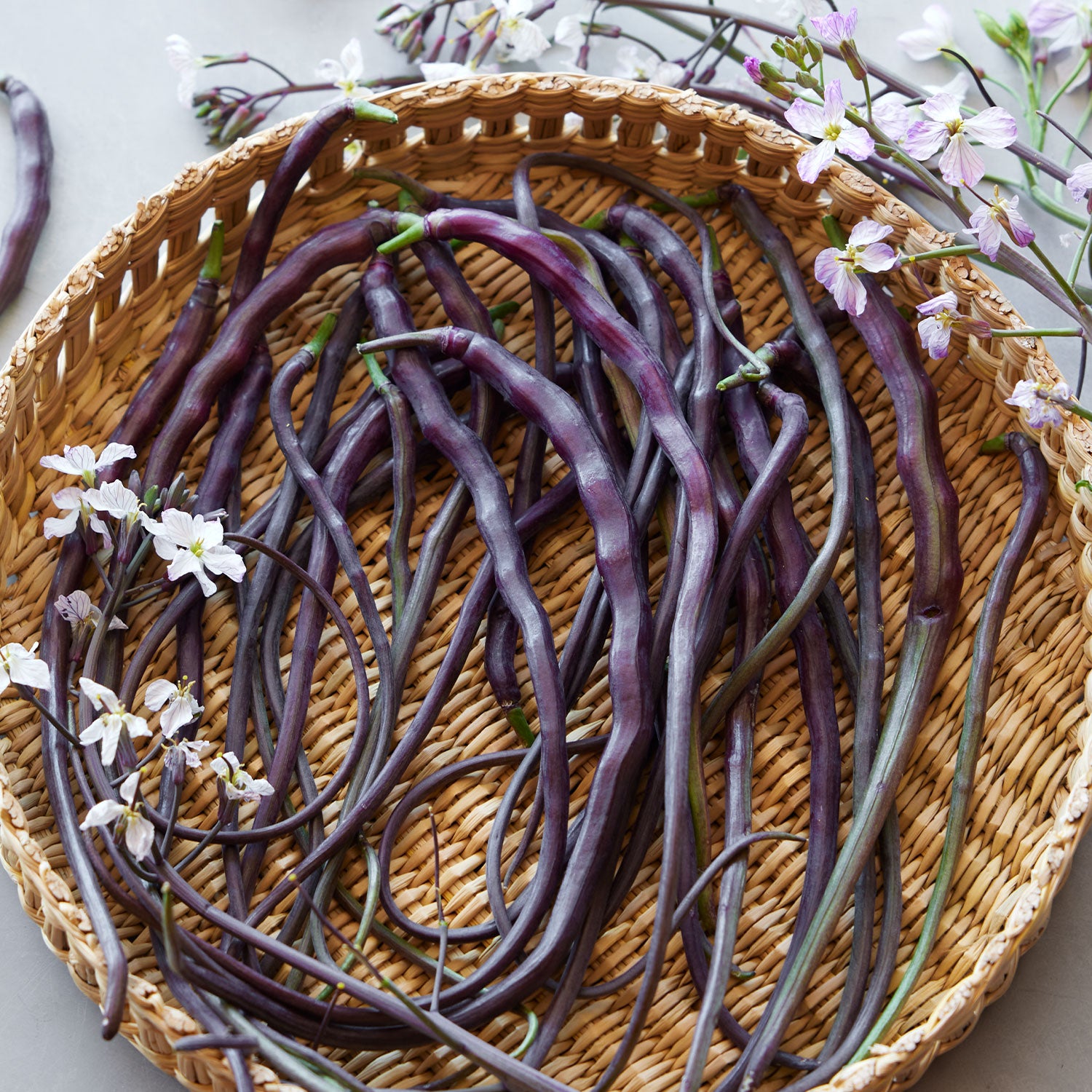 Dragons Tail Radish
