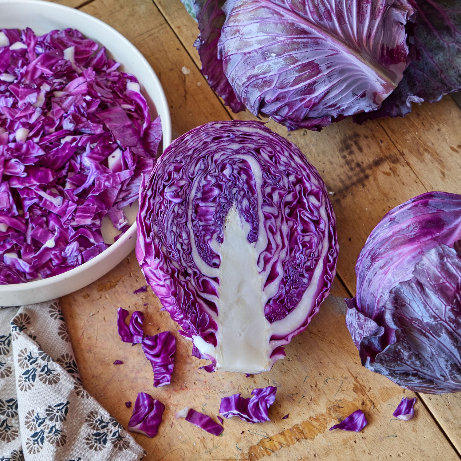 Salad Delight Cabbage
