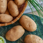 Rocky Mountain Russet Potato Tubers