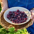 Tahi Raspberry