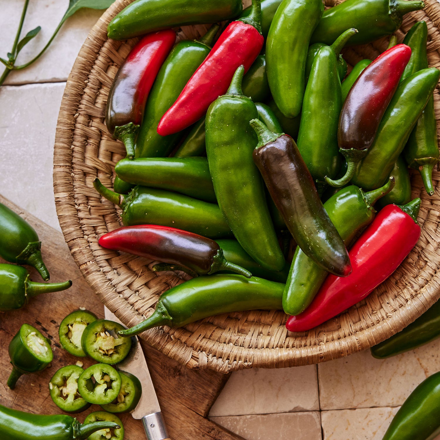 Pot-a-Peño Hot Jalapeno Pepper