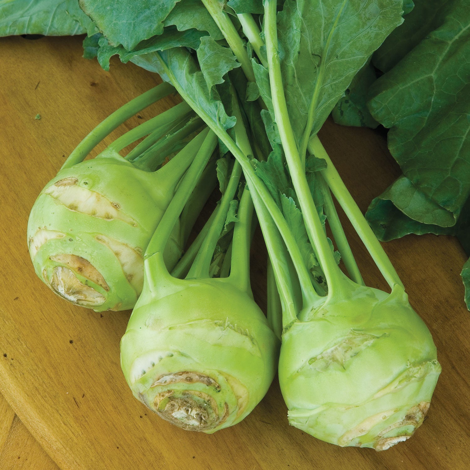 Sweet Vienna Kohlrabi