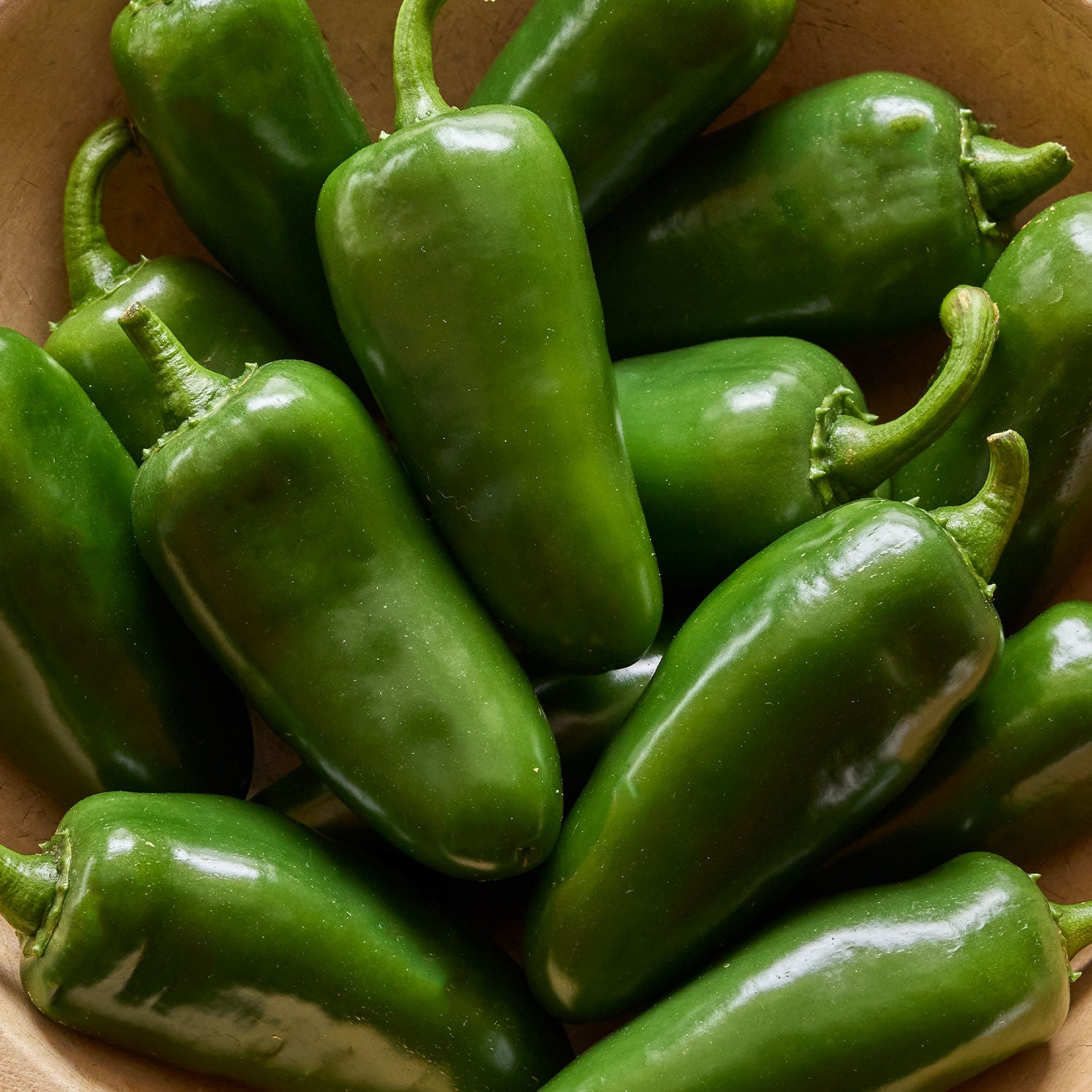 Big Guy Hot Jalapeno Pepper