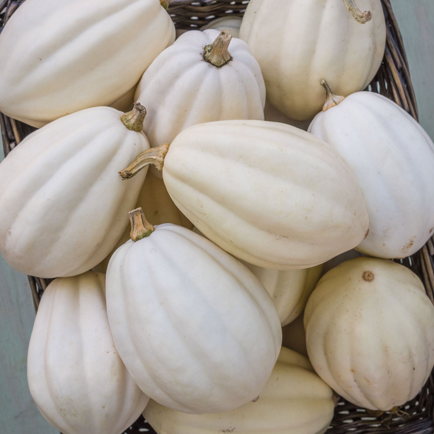 Mashed Potatoes Winter Squash