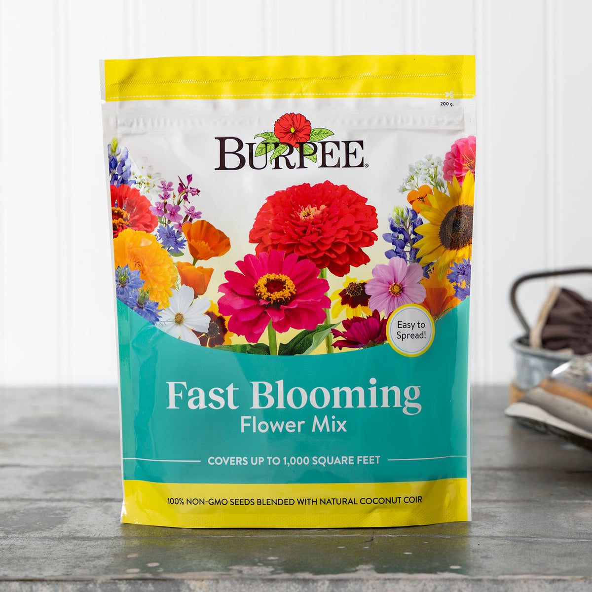 Fast Blooming Wildflower Mix