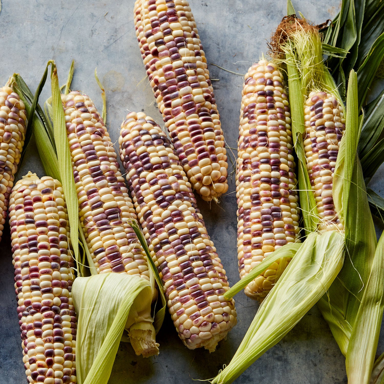 Wild Violet Sweet Corn