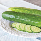 Burpless Beauty Cucumber