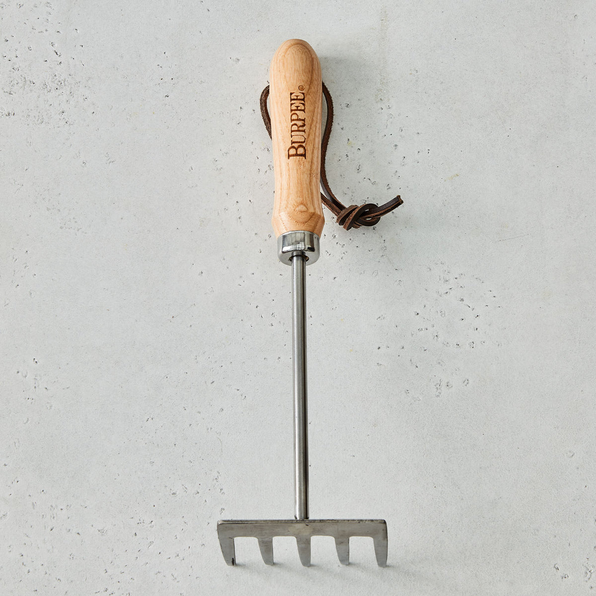 Burpee Stainless Steel 5 Tine Rake