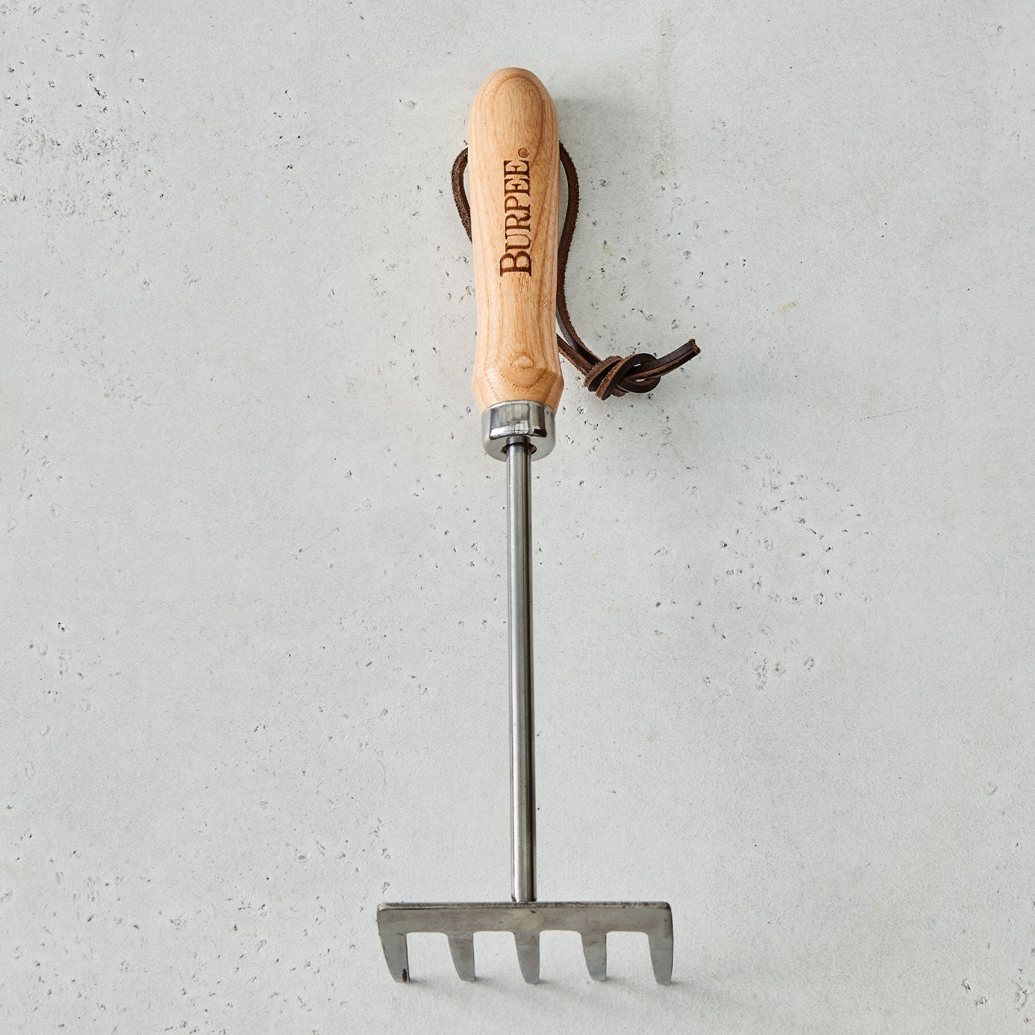 Burpee Stainless Steel 5 Tine Rake