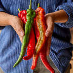 Mesilla Hot Pepper